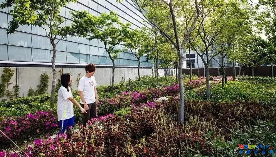 q˄(sh)ȫ̎S(chng)——“TBPARK”
